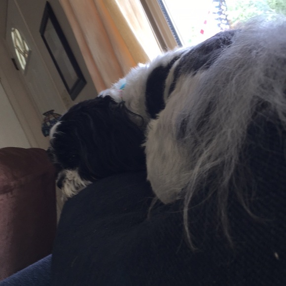 Rachael Niewoit - Poshmark Profile Picture of Rachael Niewoit (@rae1319) on Poshmark