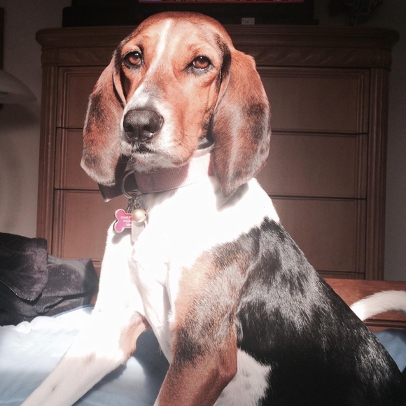 Profile Picture of Chalie Zepka (@charliezjr) on Poshmark