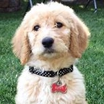 Profile Picture of Piper Josephine (@piperjosephine4) on Instagram