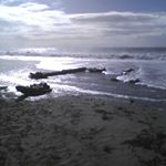 Profile Picture of Alice Gamboa (@cica52) on Instagram