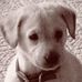 Profile Picture of Paul Olson (@paul.olson.374) on Facebook