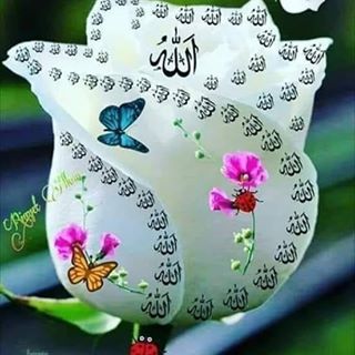 Muhammed Ullah - Facebook Profile Picture of Muhammed Ullah (@Muhammed-Ullah) on Facebook