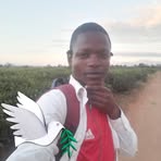 Profile Picture of Kenneth Renard (@Kenneth-Renard) on Facebook