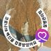 Profile Picture of Domin  Kim (@domin.kim.90) on Facebook