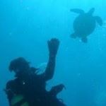 Profile Picture of Robert B Haugland (@aloharobh) on Instagram