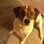 Profile Picture of Larry Thomas (@thomas.larry) on Instagram