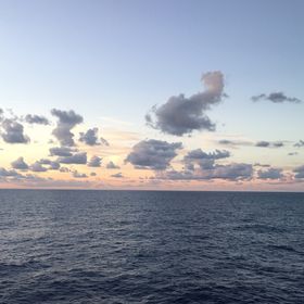 Profile Picture of Linda Titone (@linda_anne1) on Pinterest