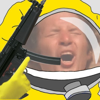 Profile Picture of Pax ⚑ (@SemperLiberum) on Twitter