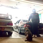 Profile Picture of Kyle G (@gravesgarage) on Instagram