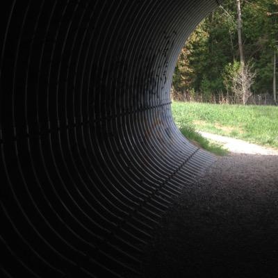 Profile Picture of Tess Fischer (@TessFischer13) on Twitter