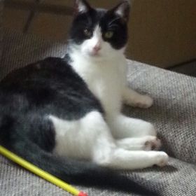 Profile Picture of Andrea Köhler (@madlen4843) on Pinterest