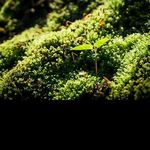 Profile Picture of allen_henderson (@allen_henderson) on Instagram