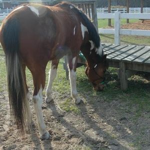 Carla Howard - Myspace Profile Picture of Carla Howard (@412012905) on Myspace