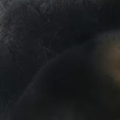 Profile Picture of Roberta Sandoval (@robertasandoval5555) on Youtube