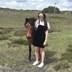Profile Picture of Alice Stratford (@stratford_avs) on Instagram