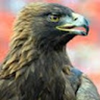 Profile Picture of Joshua Damien Cordle (@joshua-damien-cordle) on Quora