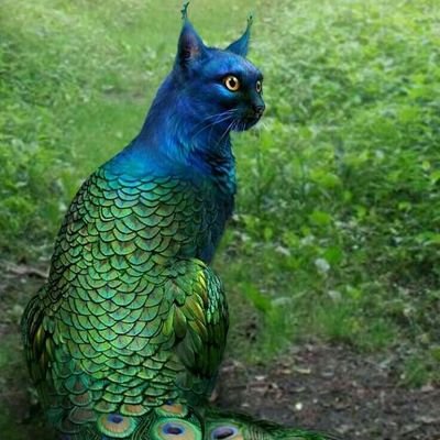 Profile Picture of Ethan Marr (@JesdaRay) on Twitter