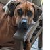 Profile Picture of Randall Wells (@randall.wells.5055) on Facebook
