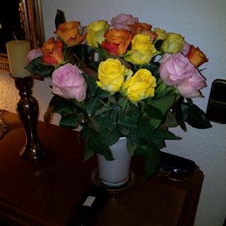 Profile Picture of Angela Gossling (@Angela-Gossling) on Facebook