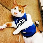 Profile Picture of Branka Kozul (@shit_and_go_) on Instagram