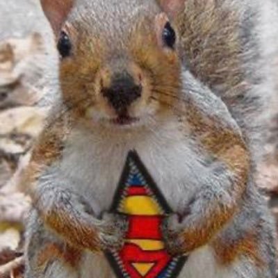 Profile Picture of Thomas Cushing (@ThomasCushing7) on Twitter
