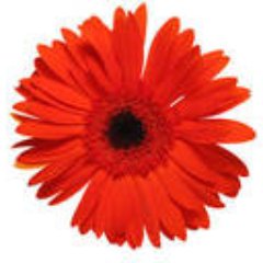 Profile Picture of Pat Beaty (@beaty_pat) on Twitter