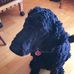 Profile Picture of Sylvia Foreman (@sylvia.foreman.750) on Facebook