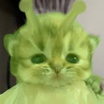 Profile Picture of Ho Jeong Choi (@Ho-Jeong-Choi) on Facebook