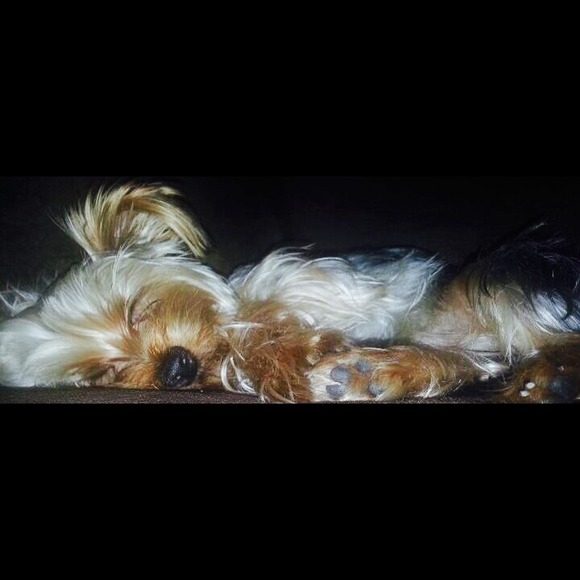 Profile Picture of Eva Rivas (@er11229) on Poshmark