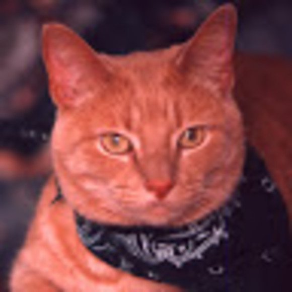 Profile Picture of Dimitri Chagares (@chagaresd) on Poshmark