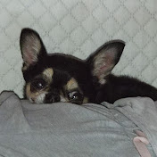 Profile Picture of Marina G. Pino Justo (@ALICIAVCN) on Youtube