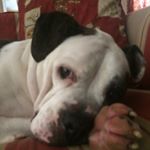 Profile Picture of Kim Dickson Gillen (@kagmag123) on Instagram