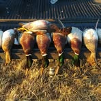 Profile Picture of Eric Wilmoth (@eric.wilmoth.9) on Facebook