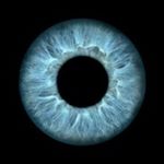 Profile Picture of Leonard Eppstein (@leonard.eppstein) on Instagram