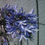 Profile Picture of Janey Martin (@janey.martin.3) on Facebook