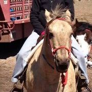 Profile Picture of Kacie Roberts (@kaciejo4) on Pinterest