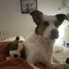 Profile Picture of She_fw_scott (@she_fw_scott) on Tiktok