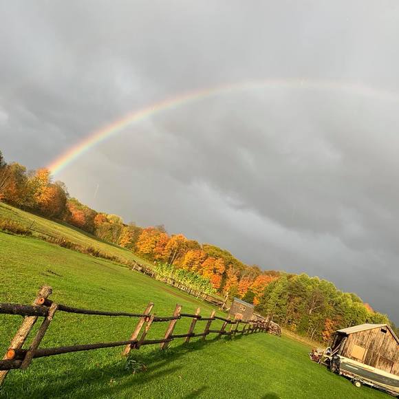 Profile Picture of Joy Bradley (@joybradley617) on Poshmark