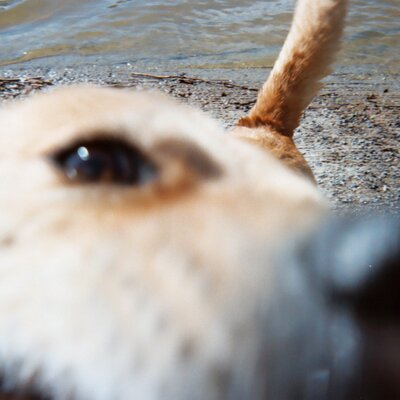 Profile Picture of METRO RAIL RODEO (@DanhennesseyDan) on Twitter