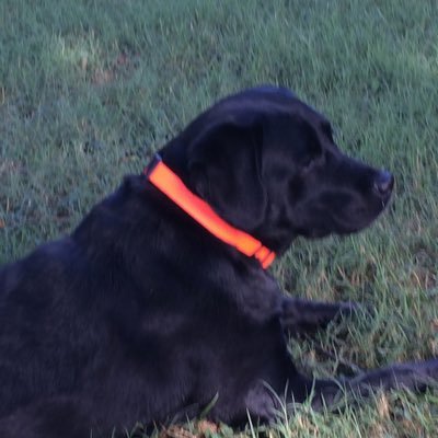 Profile Picture of Jim Yoakum (@jim_yoakum) on Twitter