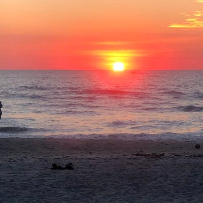 Profile Picture of Lori Rosenthal (@lrosenthal19) on Twitter