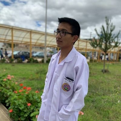 Profile Picture of Jonathan Ramos Pizarro (@nekonokia) on Twitter