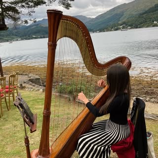 Profile Picture of Aimée Clark (@aclark_harp) on Instagram