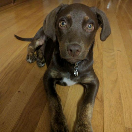 Profile Picture of Daniel Munt (@daniel.munt1) on Tiktok