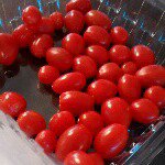 Profile Picture of Paula Thomson (@paula.thomson.528) on Instagram