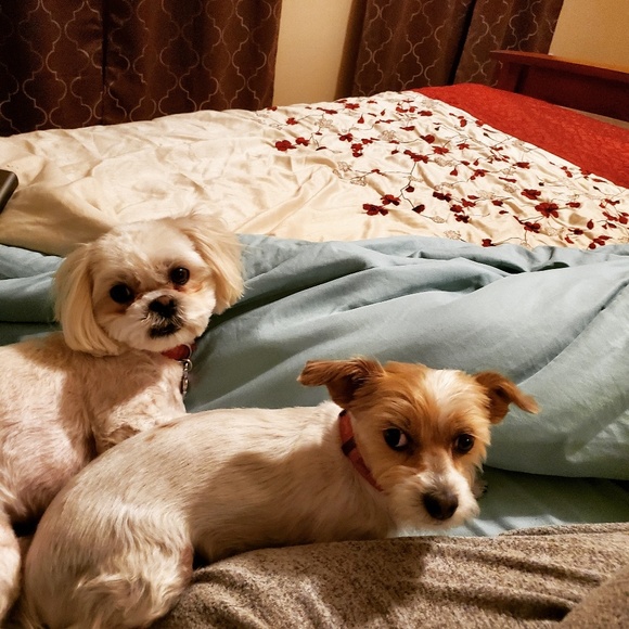 Profile Picture of Pauline Zakis (@paulinezakis) on Poshmark