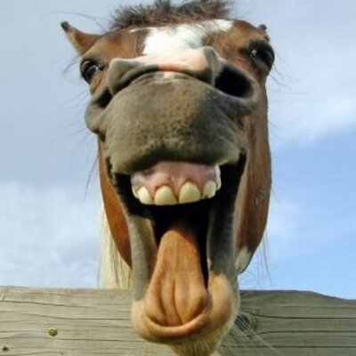 Profile Picture of James tye (@Tyejtye) on Twitter
