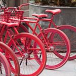 Profile Picture of Edward Gibson (@edwardlgibson) on Instagram