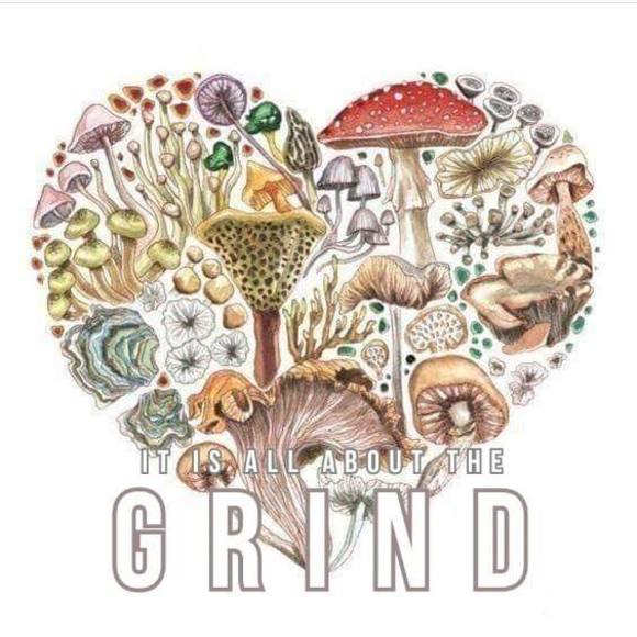 Profile Picture of Hunter Mathis (@reptile4275) on Poshmark