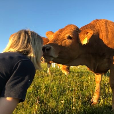 Profile Picture of Alice Miller (@AliceMillerVet) on Twitter